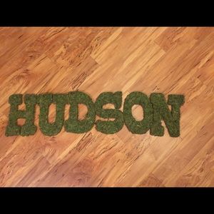 Moss covered 9” hanging letters spelling HUDSON